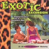 Exotic Excursion artwork