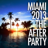 Miami 2013 - The Afterparty artwork
