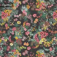 Captiva - EP by Captiva album reviews, ratings, credits
