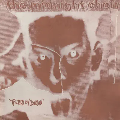 Trussed by Buddha - Midnight Choir
