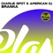 Branka (Acidtoyz Remix) - Charlie Spot & American DJ lyrics