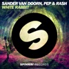 Sander van Doorn - White Rabbit (Extended Mix)
