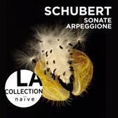 Schubert: Sonate Arpeggione artwork