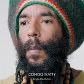 Uk Allstars (feat. Rebel MC, Tenor Fly, Top Cat, General Levy, Tippa Irie, Sweetie Irie & Daddy Freddy) [Congo Natty Meets Benny Page Mix] artwork