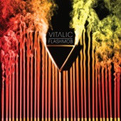 Allan Dellon - Vitalic
