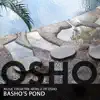 Basho’s Pond album lyrics, reviews, download