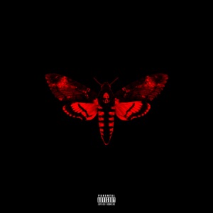 Lil Wayne Love Me Artwork