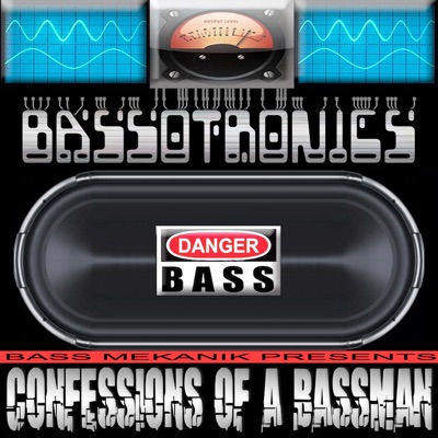 Bass I Love You Bassotronics Shazam