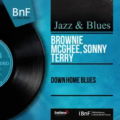 Down Home Blues (Mono Version) - Brownie McGhee