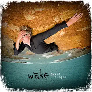 lataa albumi David Bridie - Wake