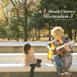 Recreation 3 - Acid Black Cherry