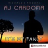 It's My Fault - Single