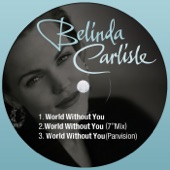 World Without You (Panvision Mix) artwork