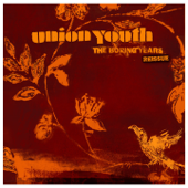 The Boring Years (Reissue) - Union Youth