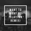 Want to Want Me (Clayton Remix) song lyrics