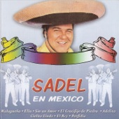 Sadel en México artwork
