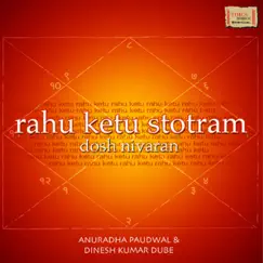 Rahu Ketu Stotram Dosh Nivaran by Anuradha Paudwal & Dinesh Kumar Dube album reviews, ratings, credits
