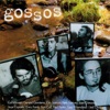 Gossos - No Tinguis por