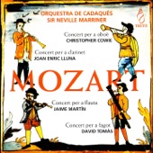 Concierto para oboè y orquesta in G Major, K. 314: I. Allegro artwork