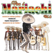 Viva El Mariachi, Vol. 2 artwork