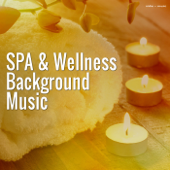 Spa & Wellness Background Music - Verschillende artiesten