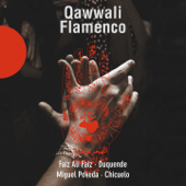 Dam mast qalandar (Live) - Ensemble De Qawwali Faiz Ali Faiz