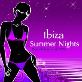 Ibiza Summer Nights: Best Chillstep Café 2013 Music selection, Chillout Late Night Erotic Music Entertainment & Chillstep Sexy Beach Party Songs (Color del Mar de Mi Ventana Opening Summer Season collection) artwork