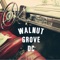 Wait in Vain - Walnut Grove DC lyrics