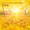 Shine (feat. Carla Prather) - Tom Conrad lyrics