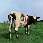 Alan's Psychedelic Breakfast - Pink Floyd