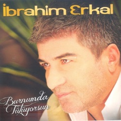 İbrahim Erkal - Seni Nasıl Severim