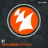 Skylarking (Remixes) - Single album lyrics, reviews, download