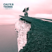 Human Reptile (Calyx & TeeBee Remix) artwork