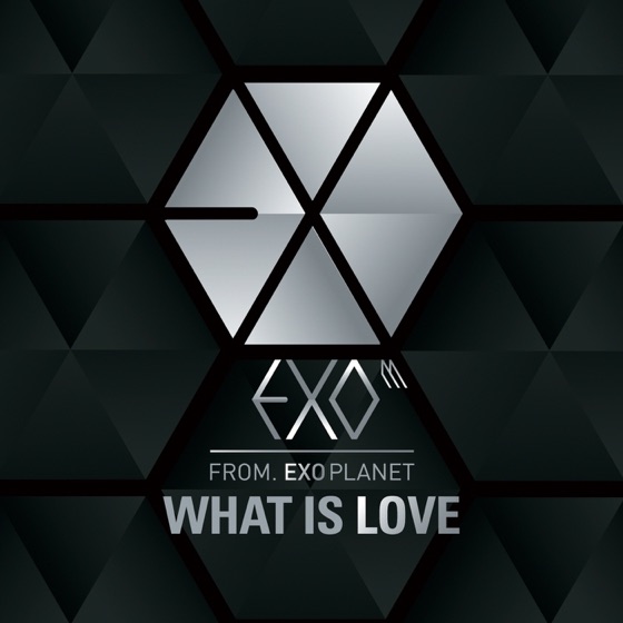 Cover artwork for What Is Love