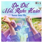 Jise Dekh Mera Dil Dhadke (From "Phool Aur Kaante") artwork