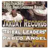 Stream & download Tribal Leaders - Single