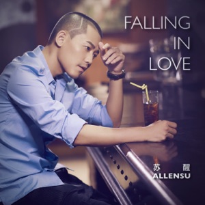 Falling in Love - Single