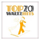 Top 20 Waltz Hits artwork