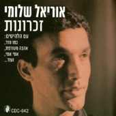 אהבה מטורפת artwork