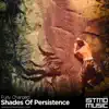 Shades of Persistence - Single album lyrics, reviews, download