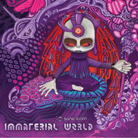 Various Artists - Immaterial World artwork