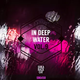 In Deep Water, Vol. 9 by Various Artists album reviews, ratings, credits