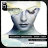 Souldust & Deeleegenz - When I Knew (El Mundo Remix)