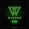 WINNER - SENTIMENTAL