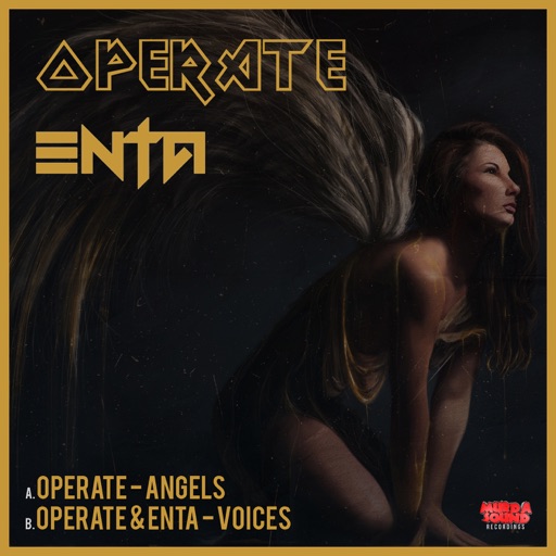 Angels / Voices - Single by Operate, enta