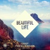 Lost Frequencies - Beautiful Life (feat Sandro Cavazza)