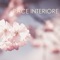 Ambient Relax - Pace Interiore lyrics