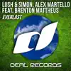 Stream & download Everlast (feat. Brenton Mattheus) - Single