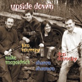 Upside Down (feat. Mike McGoldrick, Jim Murray & Dezi Donnelly) artwork