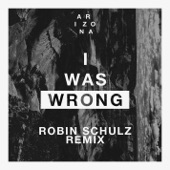 I Was Wrong (Robin Schulz Remix) artwork